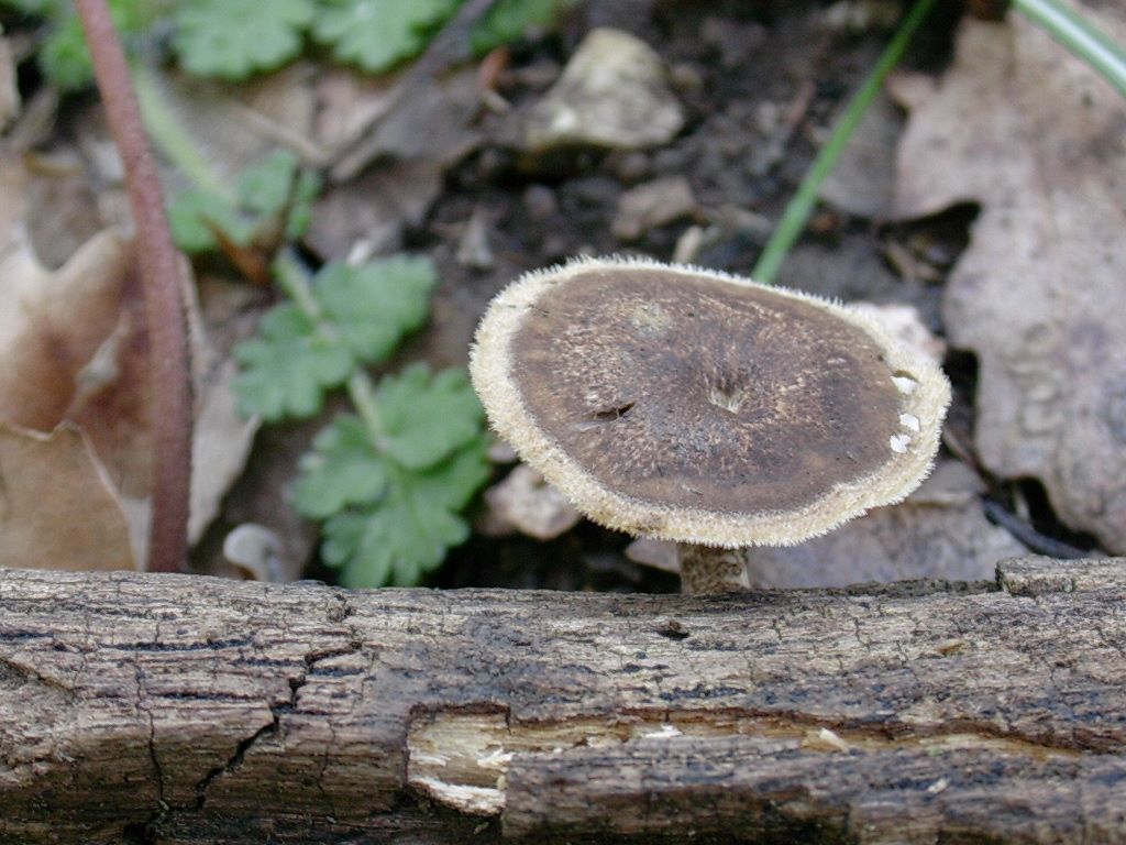 1318 Aprile vecchio ritrovamento